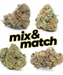 1 Ounce Mix and Match (AAAAA)