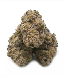 Blue Bubblegum