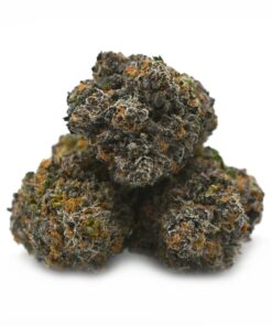 Grape Soda