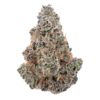 AK47