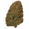 Afghan Skunk