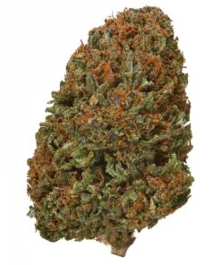 Afghan Skunk