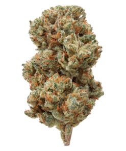 Afghan-Skunk