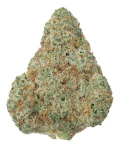 Amnesia-Haze