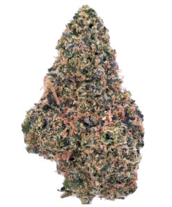 Apple Pie CBD Hydroponic Hemp Flower
