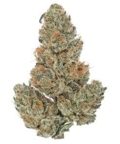 Banana Bread CBD Hydroponic Hemp Flower