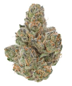 Blackberry Kush