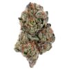 Gelato 41