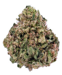 Girl Scout Cookies THCa Flower