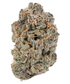 Gorilla-Glue