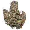 Hindu Kush