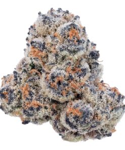 Hindu Kush