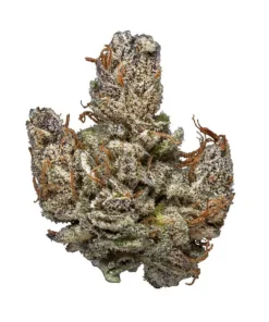 Hindu Kush