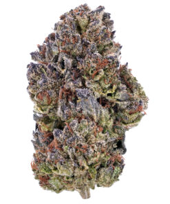 Hippie Crippler