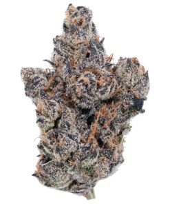 Lemon Cherry Gelato