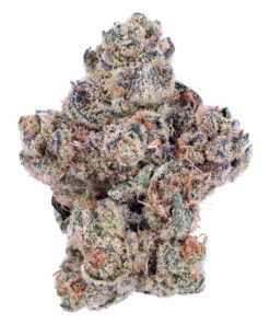 Magic Gum Drops Flower