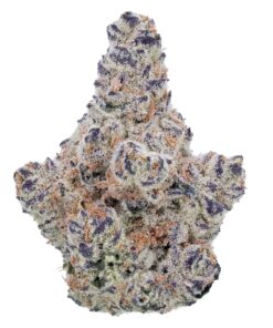 Northern Lights