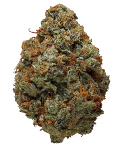 OG Kush