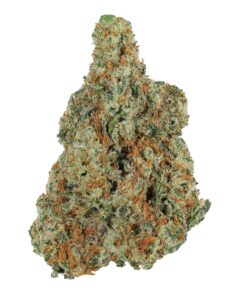 Pineapple Punch THCa Flower