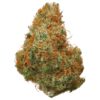 Pineapple Punch Hydroponic
