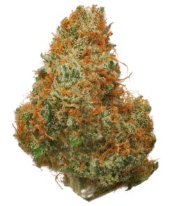 Pineapple Punch Hydroponic