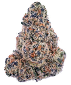 Purple Haze