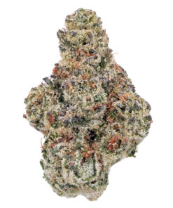 Sour Cherry