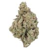 Super Silver Haze