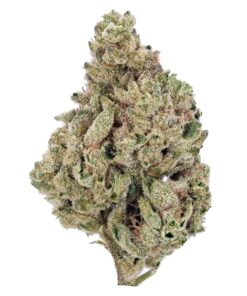 Super Silver Haze