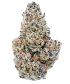 White Widow