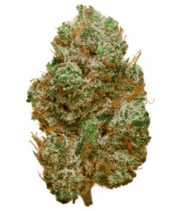 White Widow