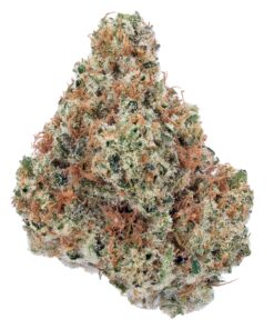 Paradise OG CBD Hydroponic Hemp Flower