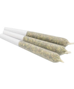 Pre Rolls-10 Regular