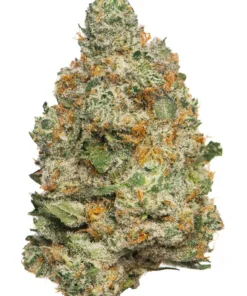 Apple Fritter