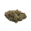 Buddah Kush