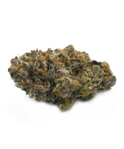 Buddah Kush
